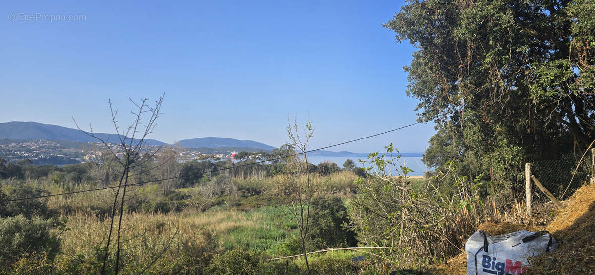 Terrain à OLMETO