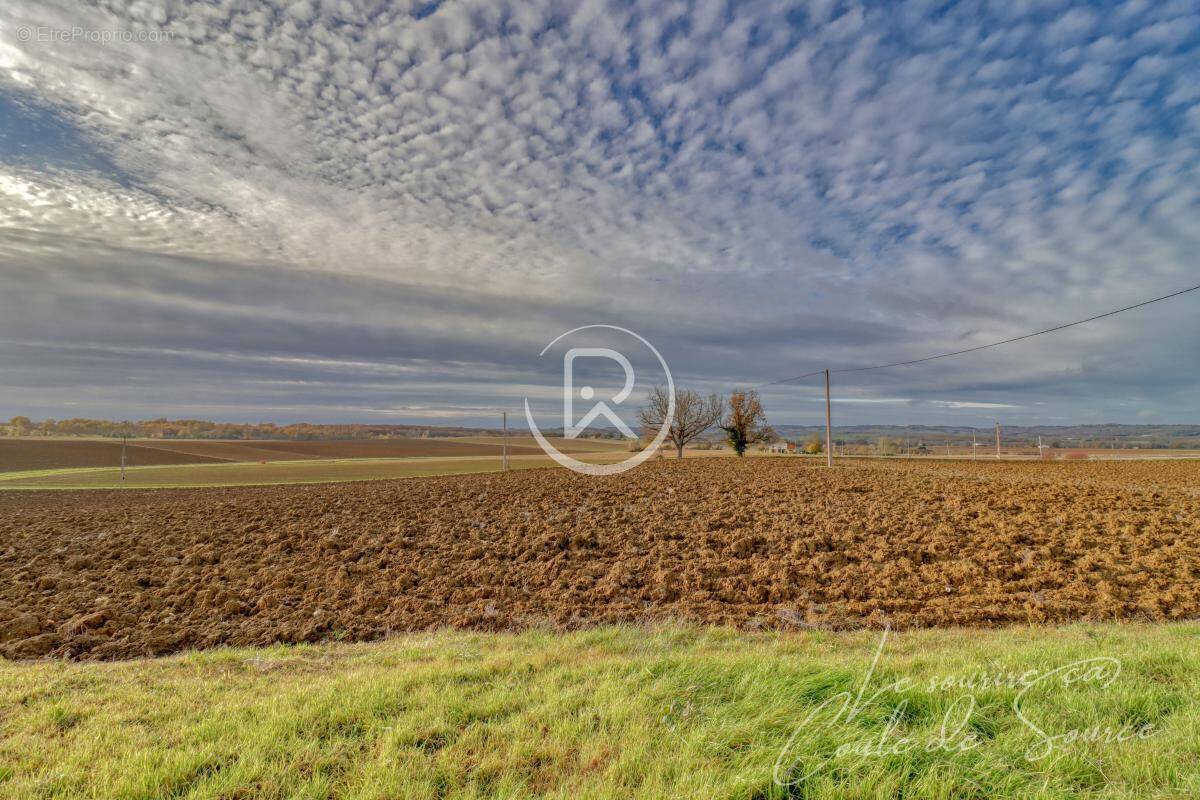Terrain à BEAUMONT-DE-LOMAGNE