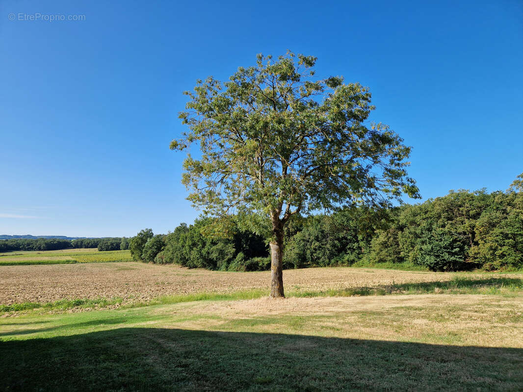 Proche VILLERÉAL, EN PLEINE CAMPAGNE, ancienne ferme à rénover...potentiel intéressant ! - photo 22