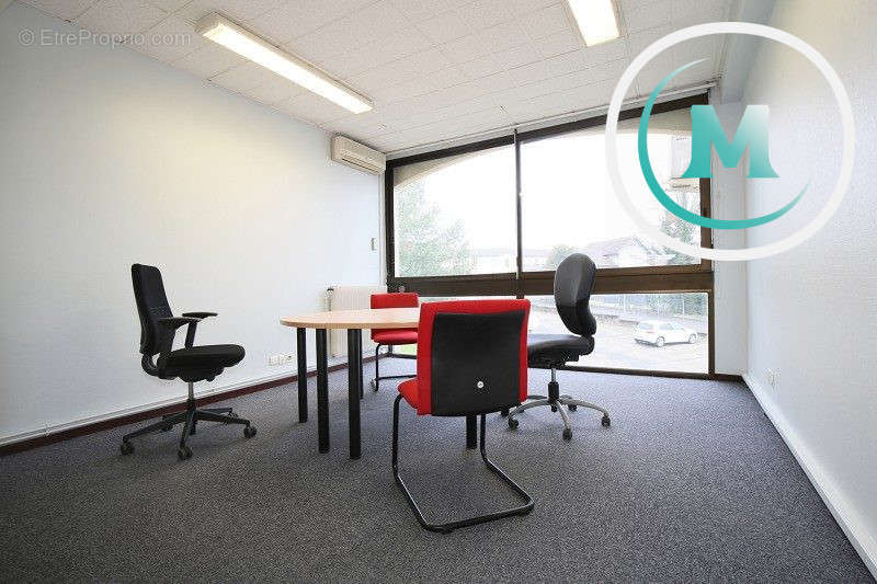 Commerce à MONTAUBAN