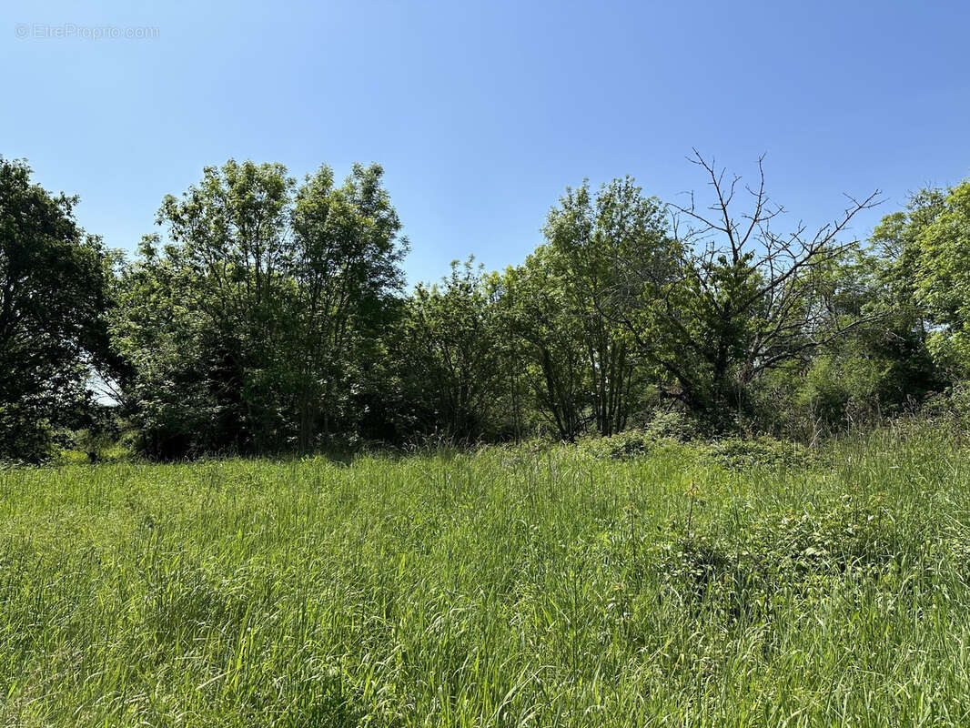 Maison de campagne ! - photo 3
