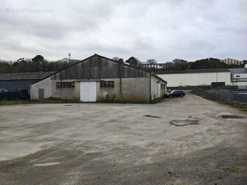 Commerce à DOUARNENEZ