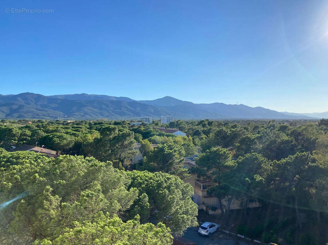 Photo 3 - Appartement à ARGELES-SUR-MER