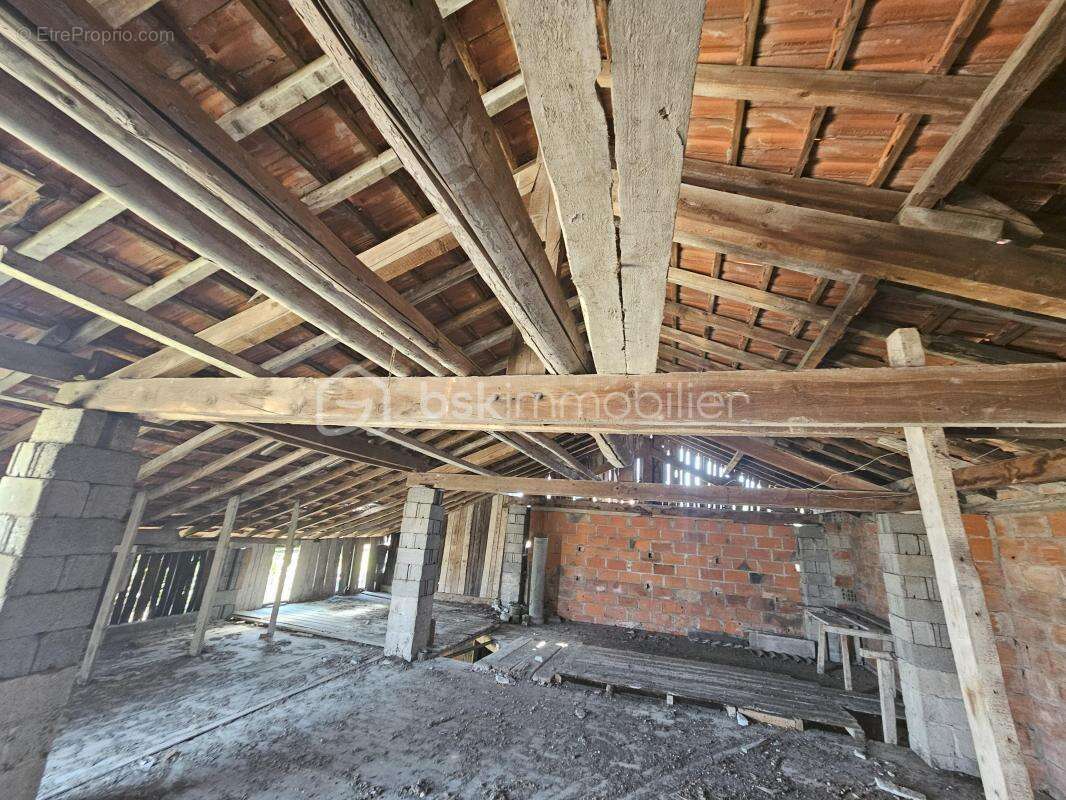 Terrain à LA PACAUDIERE