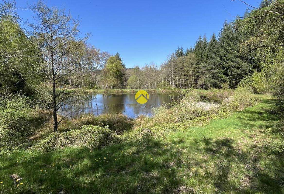 Maison à SAINT-REMY-SUR-DUROLLE