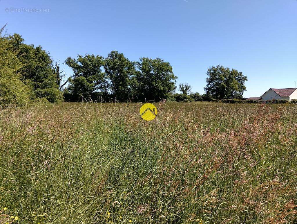 Terrain à LURCY-LEVIS