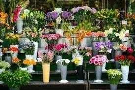 Commerce à LE HAVRE