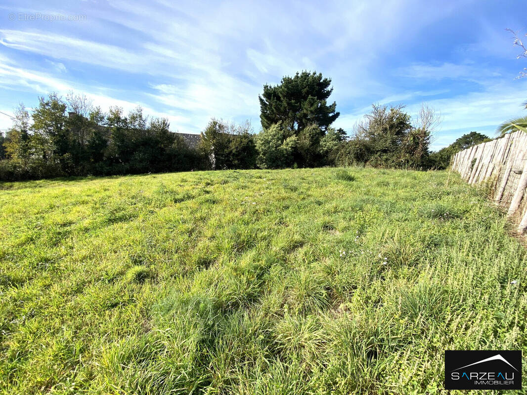 Terrain à SARZEAU