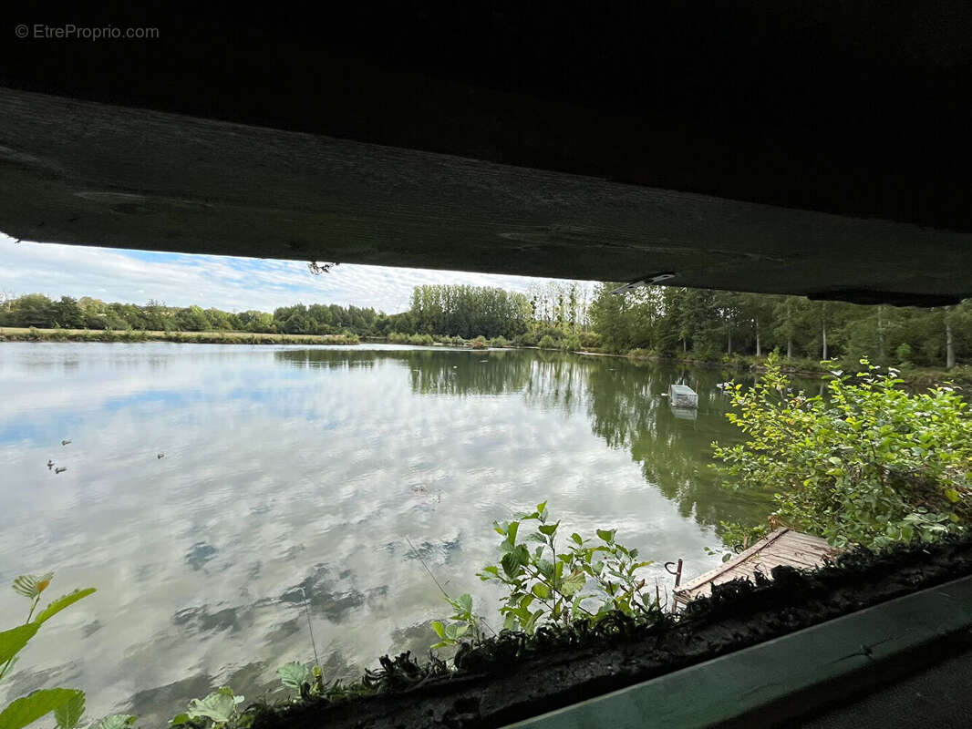 Terrain à ALAINCOURT