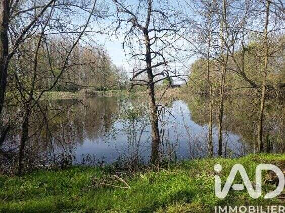Photo 5 - Terrain à CHINON