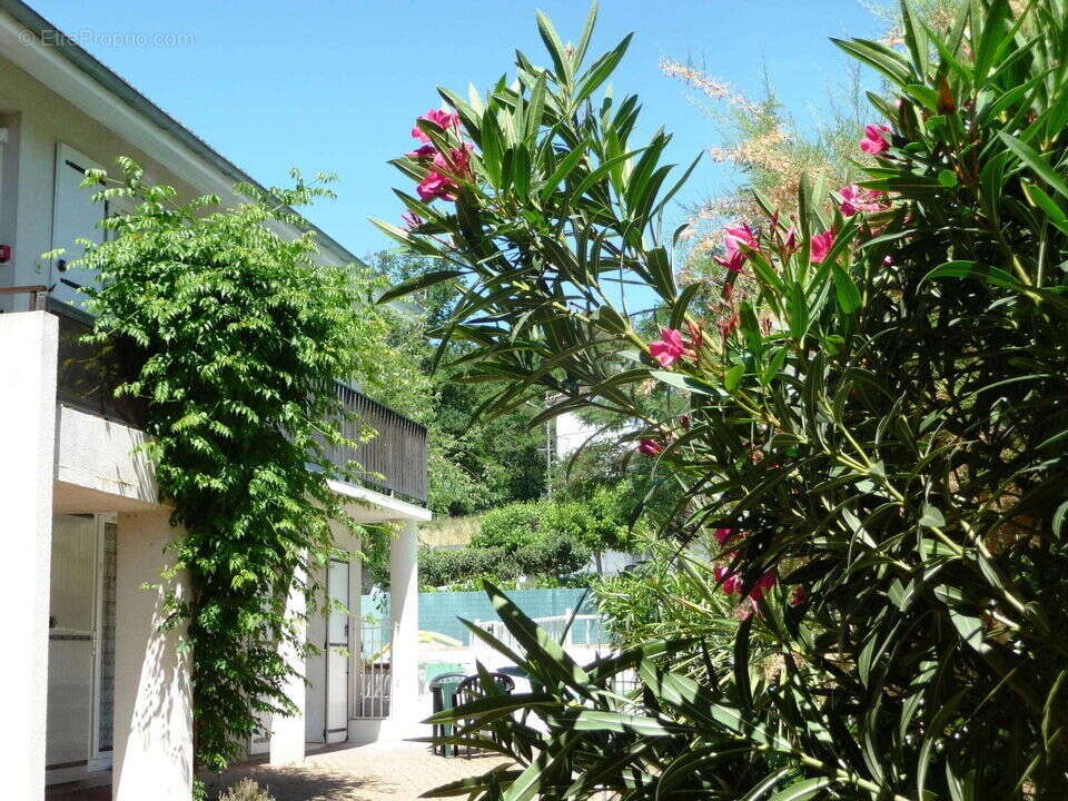 Hôtel restaurant avec piscine - photo 11