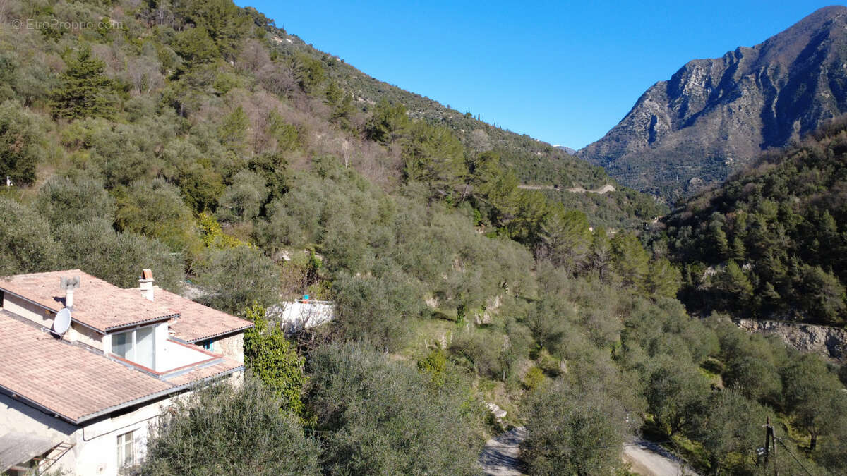 Maison à BREIL-SUR-ROYA