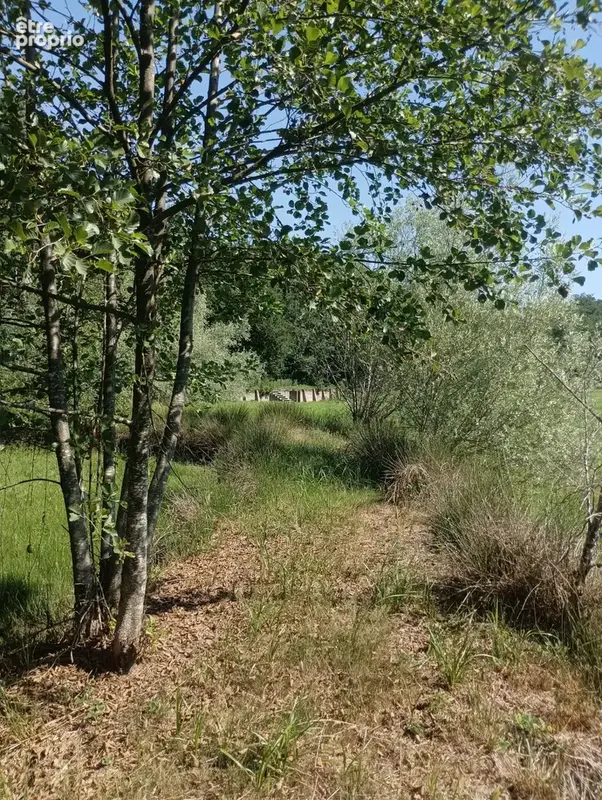 Vente étang de 11 ha environ sur terrain de 14 ha environ AILLONCOURT (70) - photo 10