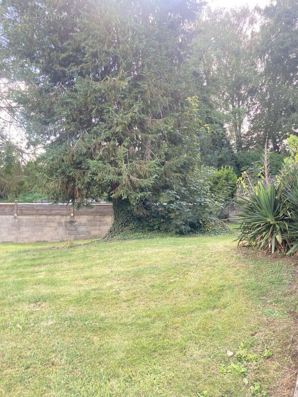 Maison 75 m² à Longpre-Les-Corps-Saints  - photo 7