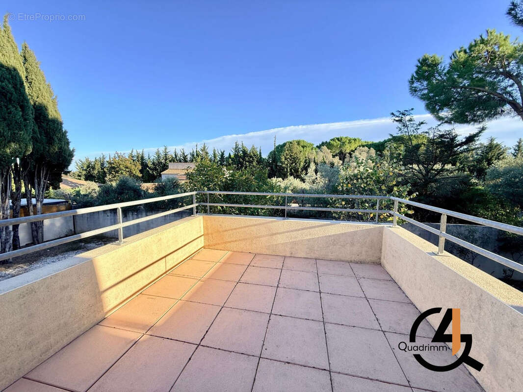 Maison à MONTPELLIER