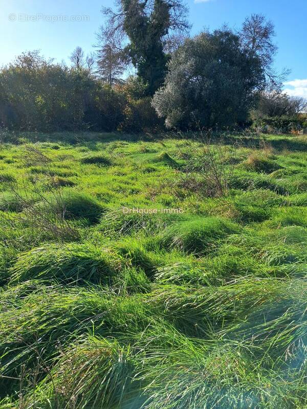 Terrain à CIVRAC-EN-MEDOC