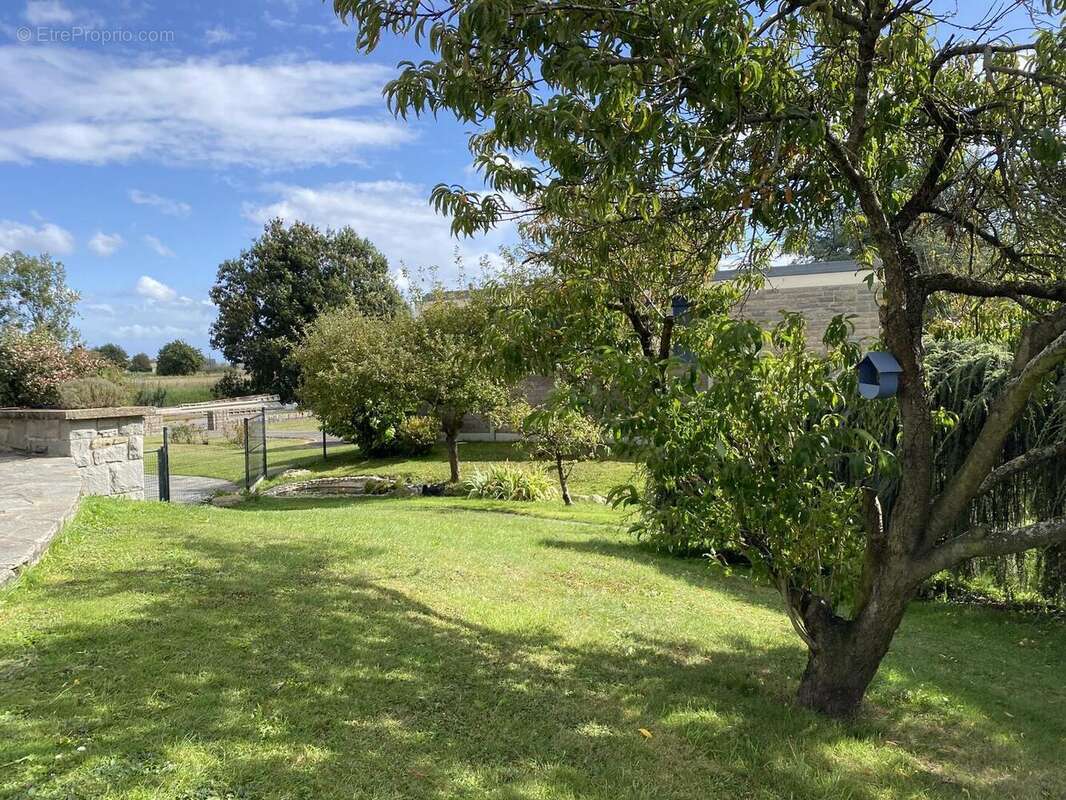 IMG9331 - Maison à LE VIVIER-SUR-MER