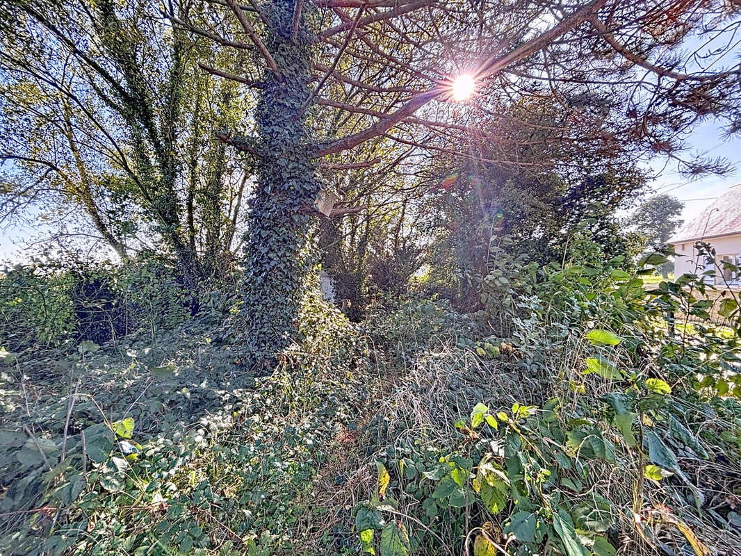 Maison à ISIGNY-SUR-MER