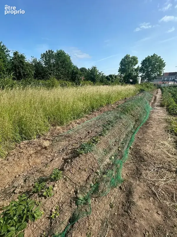 Jardin de  671m² à Bapaume - photo 3