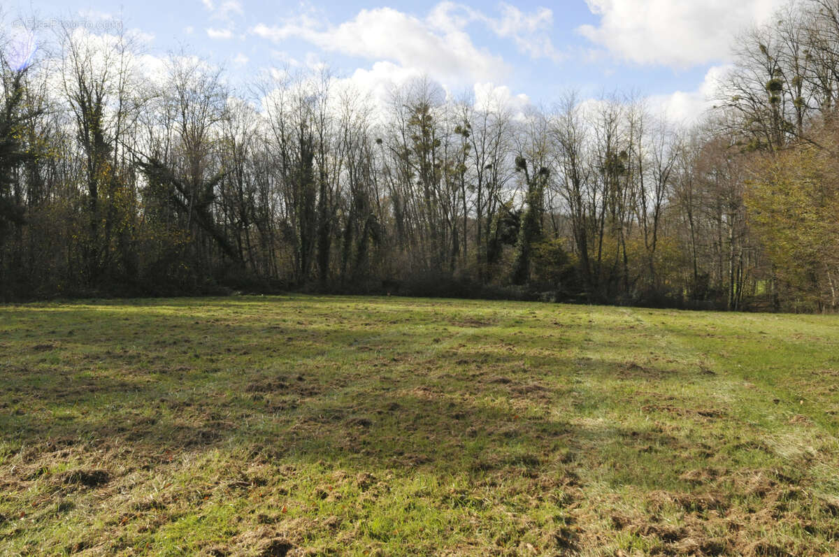Terrain à VICQ-SUR-BREUILH