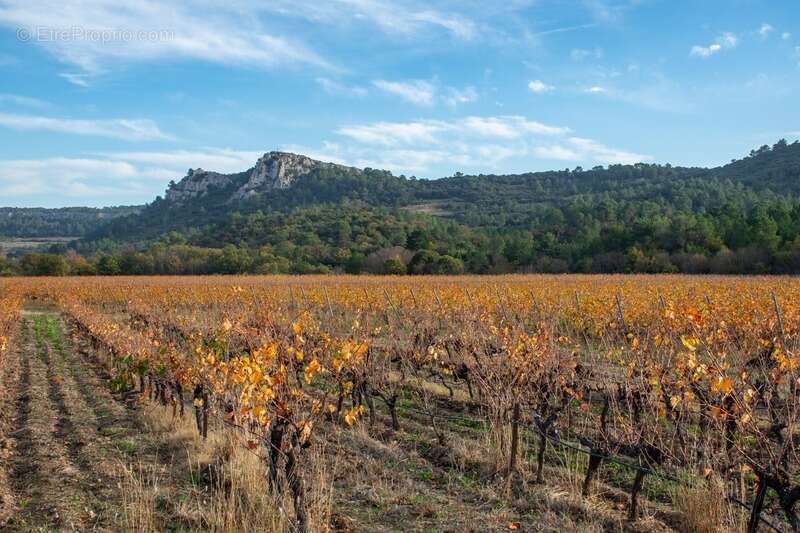 Maison à SAINT-CHINIAN