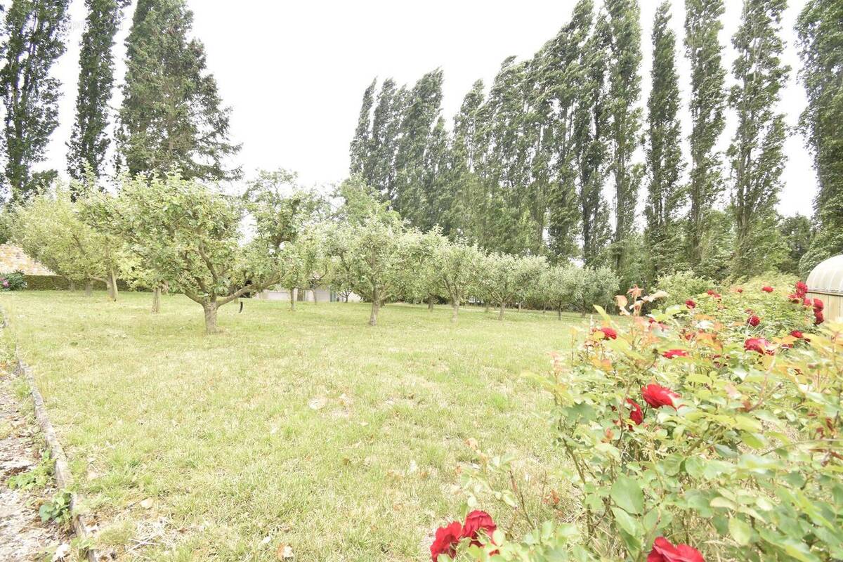 Maison à SAINT-HILAIRE-LEZ-CAMBRAI