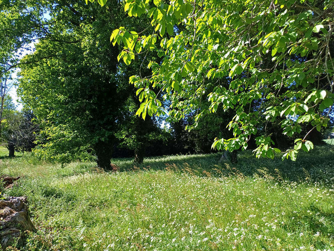 Terrain à BEGANNE