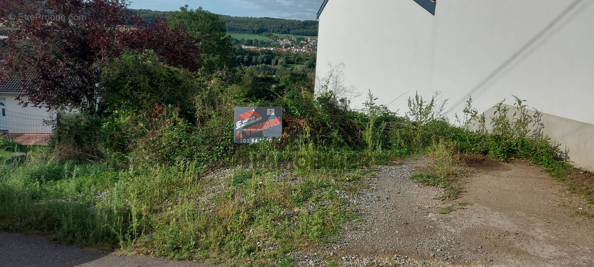 Terrain à AUTREVILLE-SUR-MOSELLE