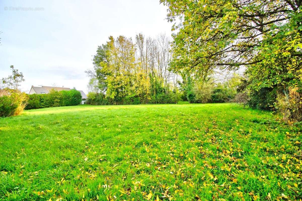 Terrain constructible (lot N°2) - photo 2