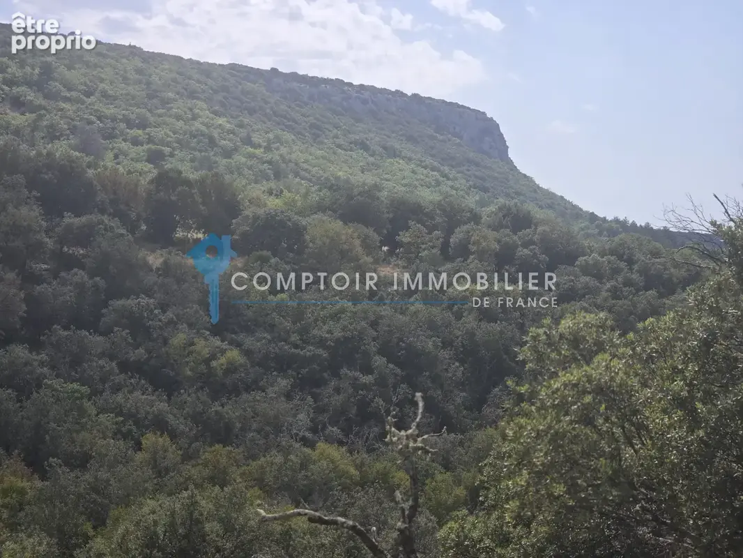 Terrain forestier vallonné - photo 2
