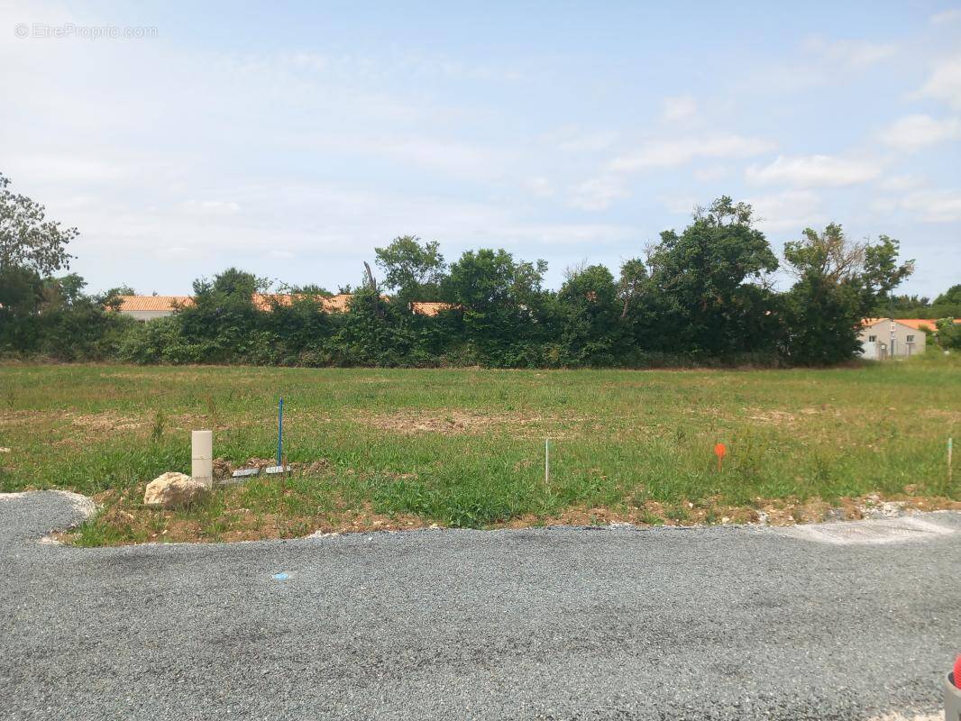 Terrain à SAINT-GEORGES-DU-BOIS