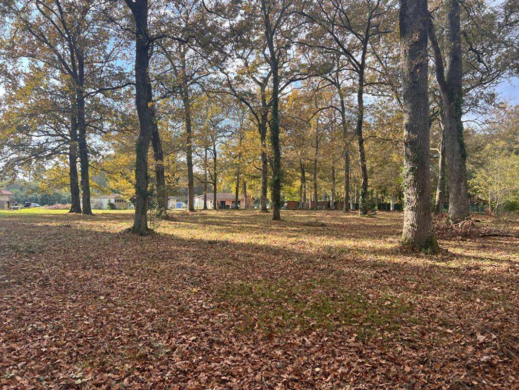 Terrain à BAZAS