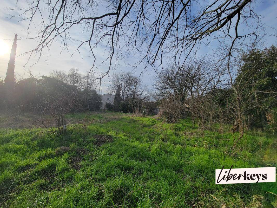 Terrain à TOULOUSE