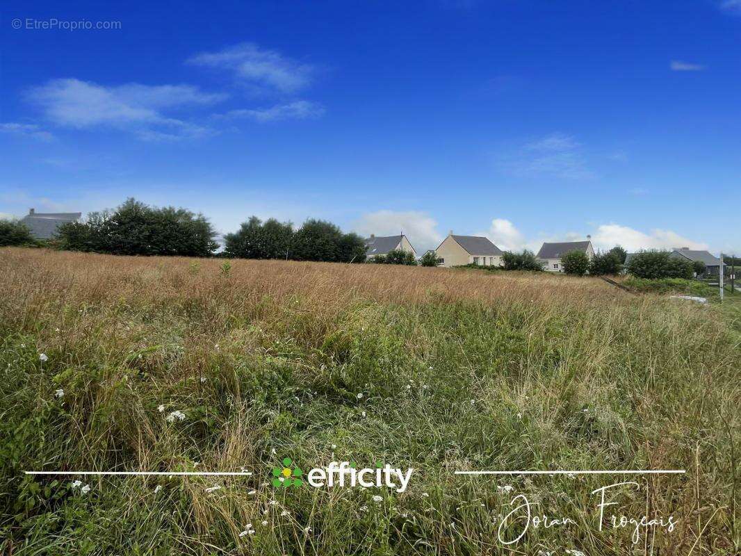 Terrain à LES LOGES-MARCHIS