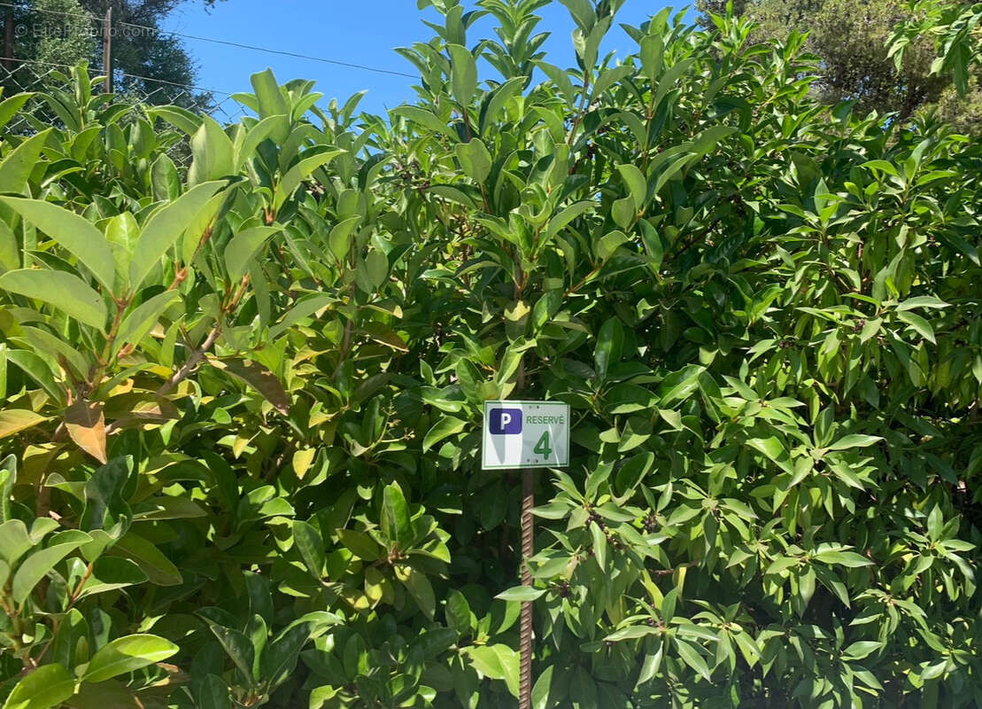 Appartement à MONTICELLO