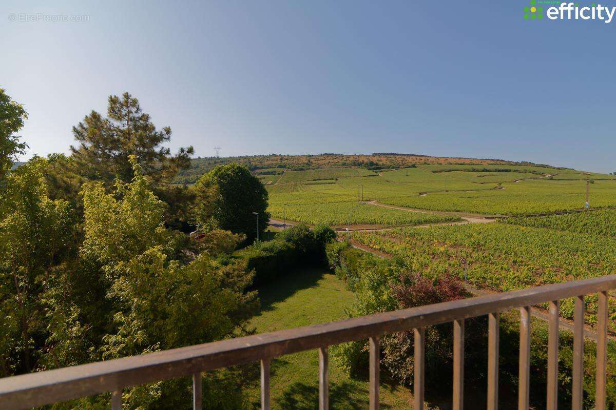 Appartement à NUITS-SAINT-GEORGES