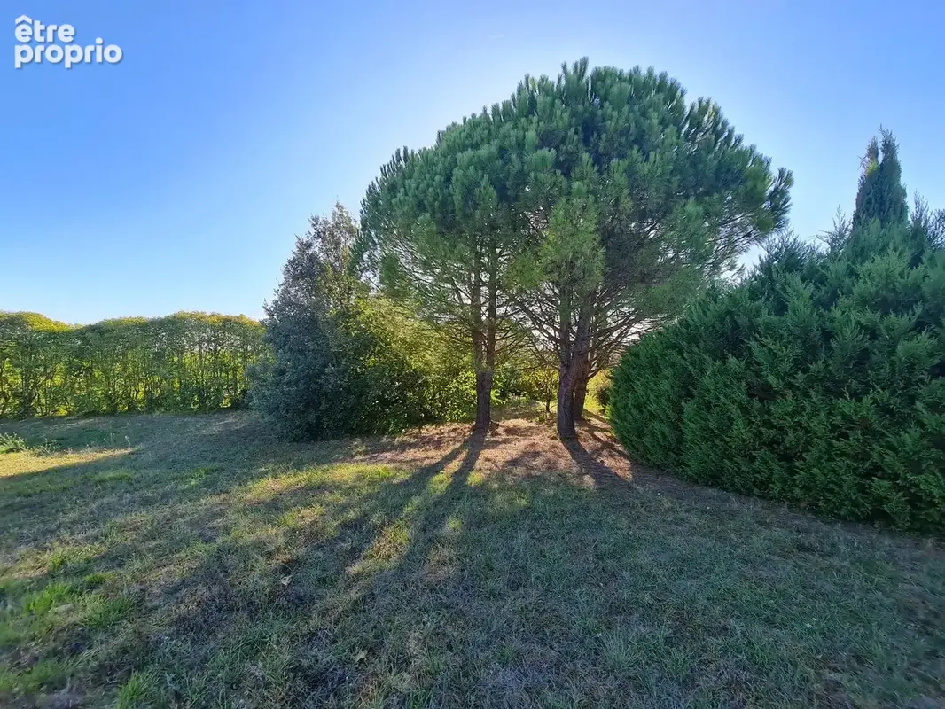 Jardin d'agrément