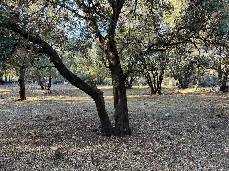 Maison à L'ILE-ROUSSE