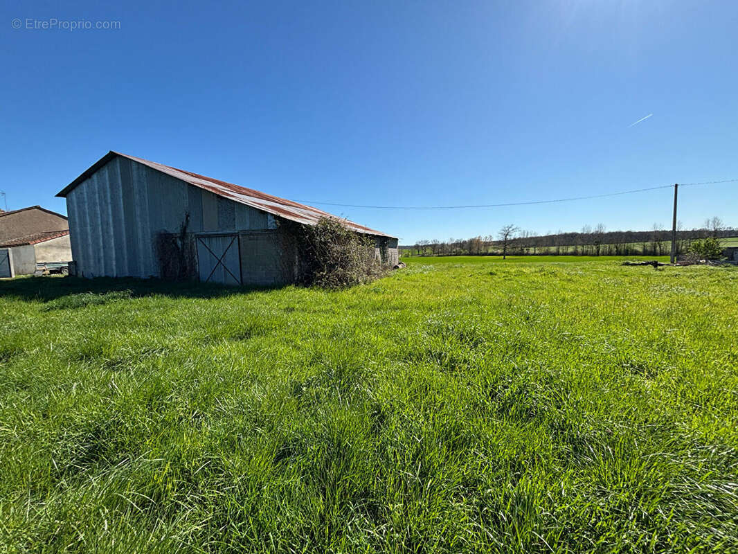 Maison à MONTREUIL-BELLAY