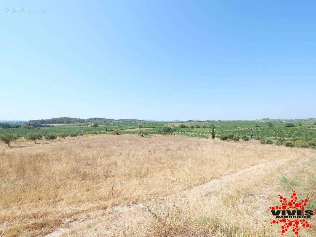 Exceptionnel : Truffière en production sur 2,2 hectares aux portes de Béziers - photo 13