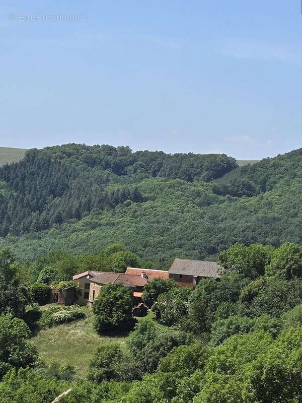 Maison à MARTRIN