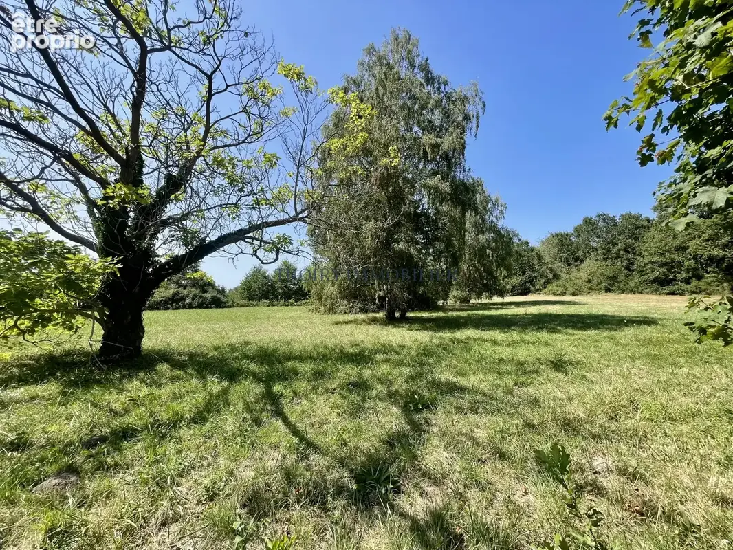 Propriété de charme 11 pièces sur 36 985 m2. - photo 32