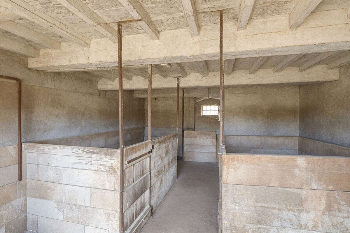 Maison à VILLARS-LES-DOMBES