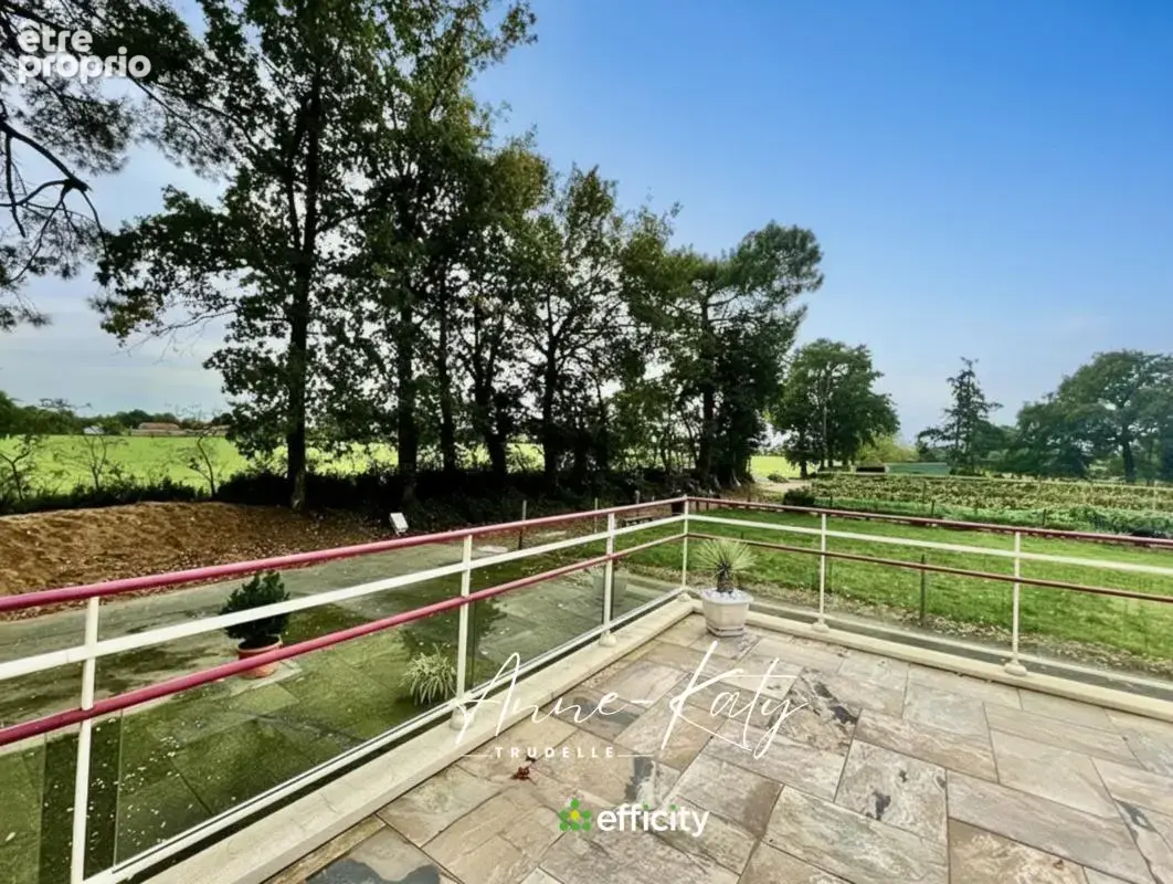 Maison 8 pièces 252 m² à vendre à Martinet (85150) - photo 11