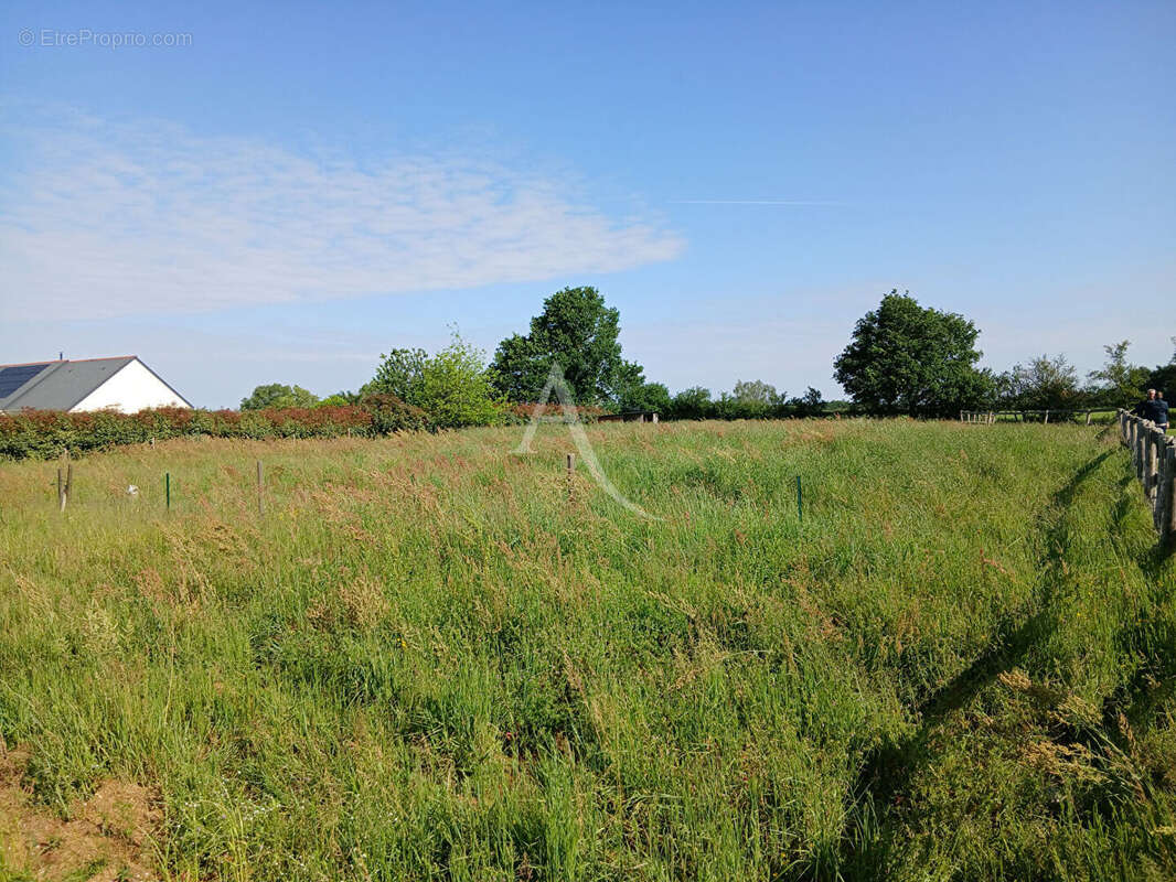 Terrain Querre - photo 5
