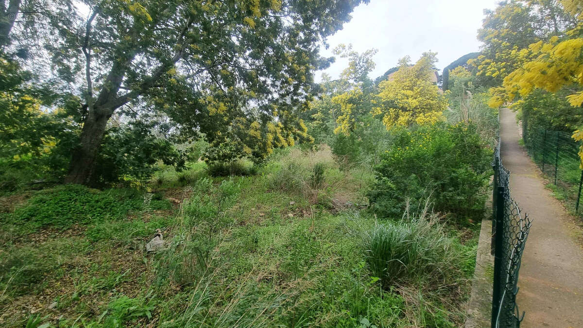Terrain à SAINTE-MAXIME