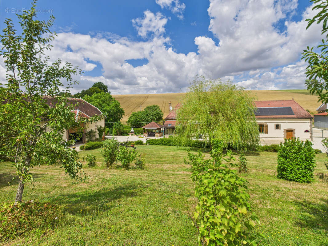 Belle Longère au coeur du pays d'othe, avec grange et superbe terrain - photo 17