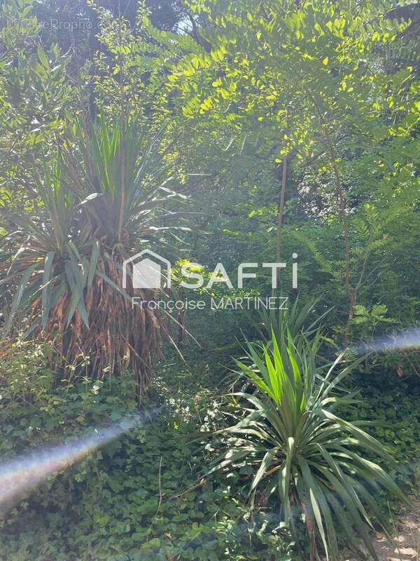 Photo 9 - Maison à RILLIEUX-LA-PAPE