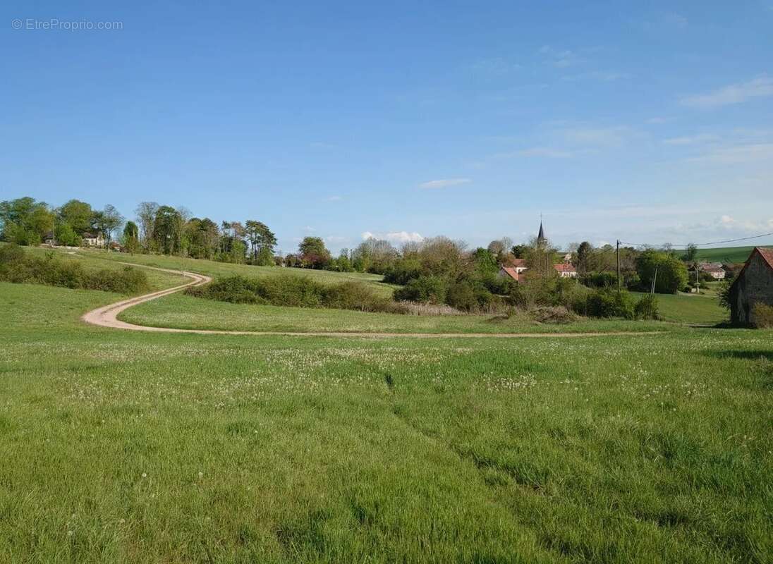 Terrain à LANGY