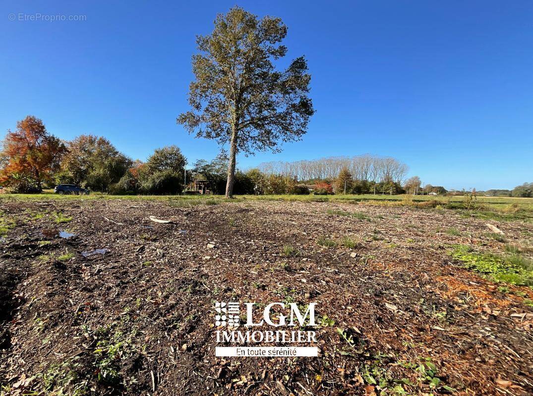 Terrain à SAINT-ETIENNE-D'ORTHE